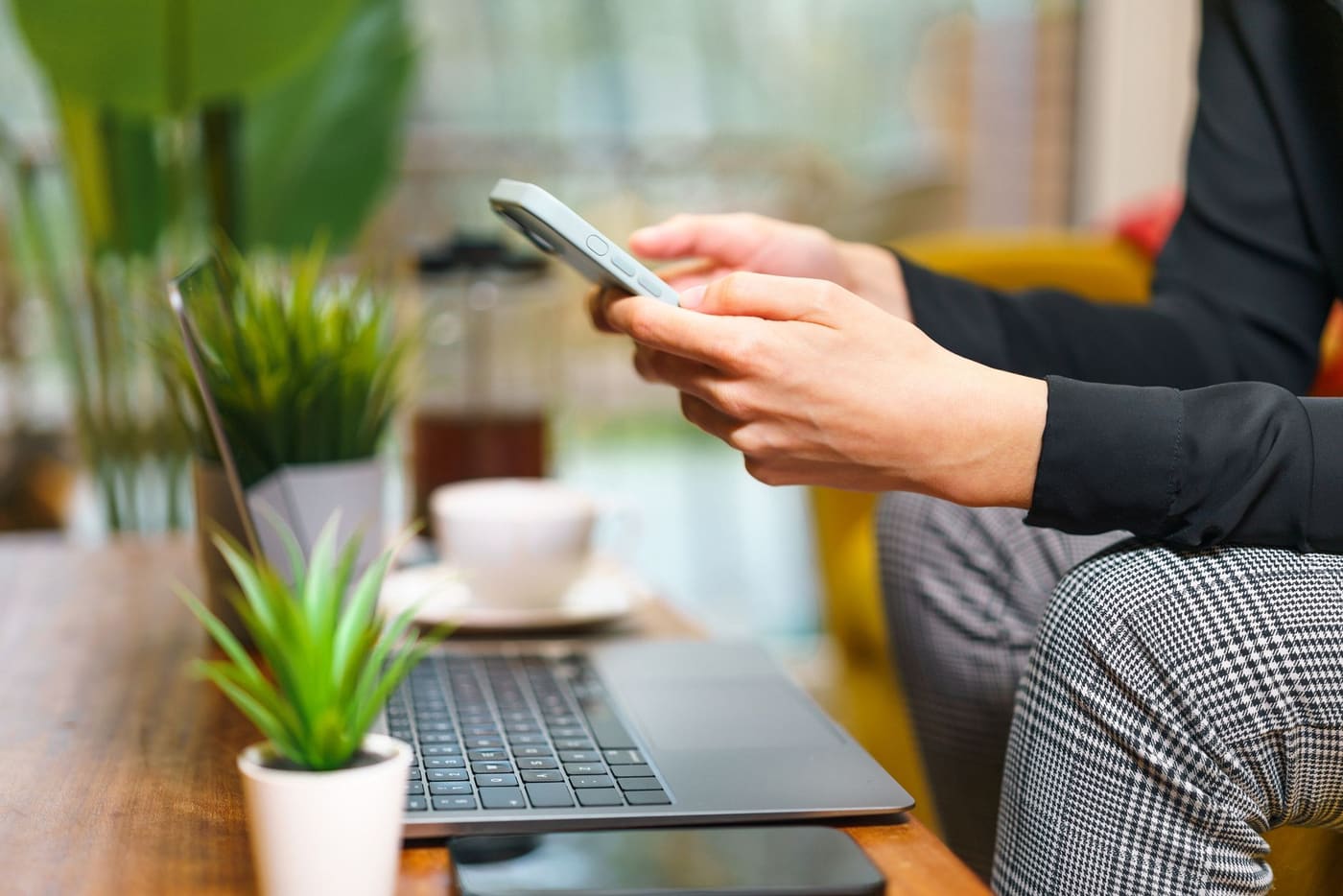 A person using a smartphone beside a laptop and a small plant on a table